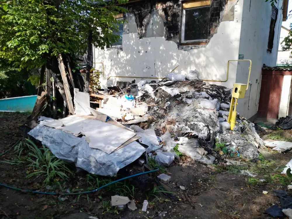 Вивіз листя та гілок у Києві — Чисто Віз — фото 2